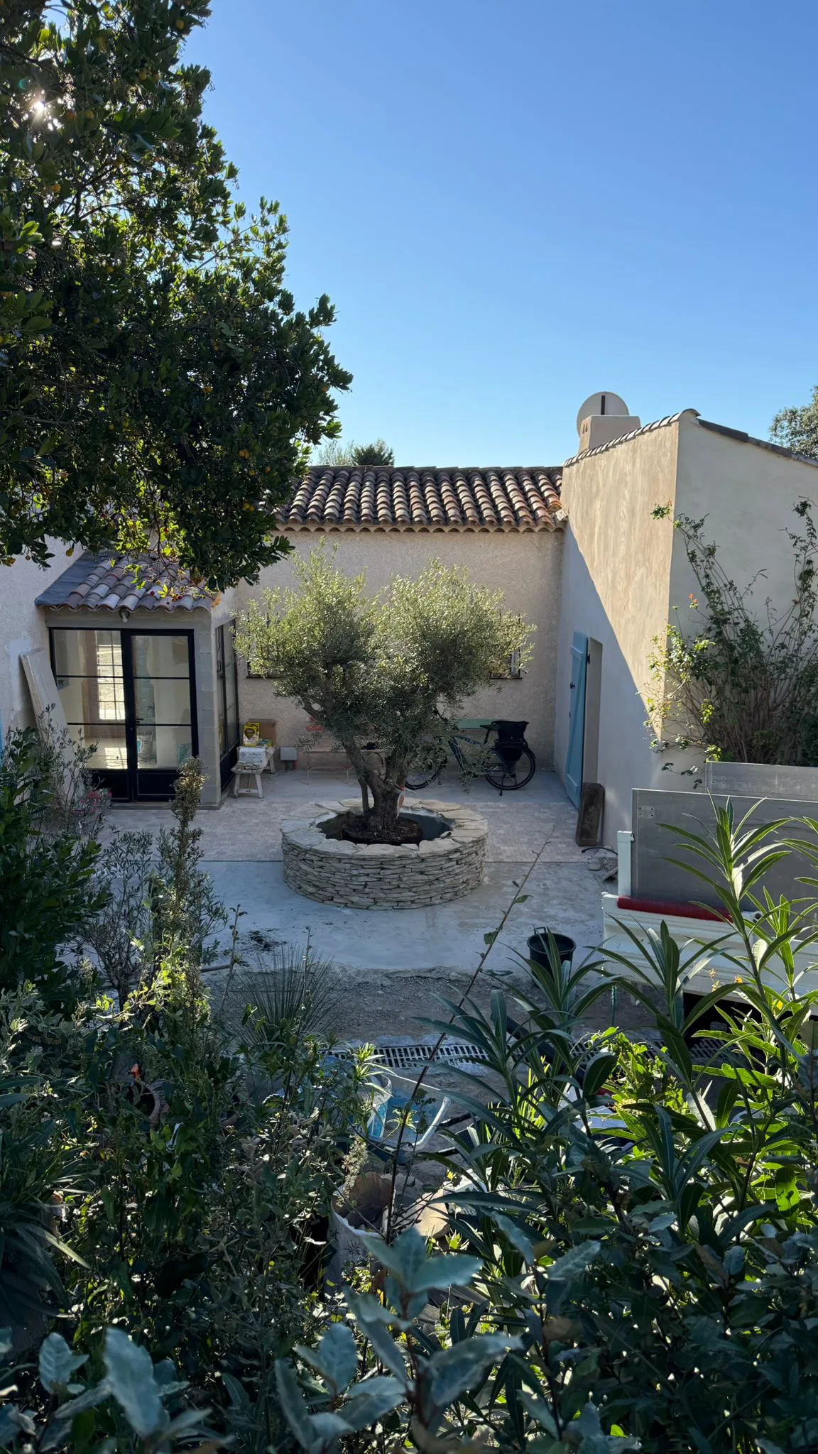 Vue d'un jardin avec un olivier, éléments de maçonnerie et espace extérieur rénové