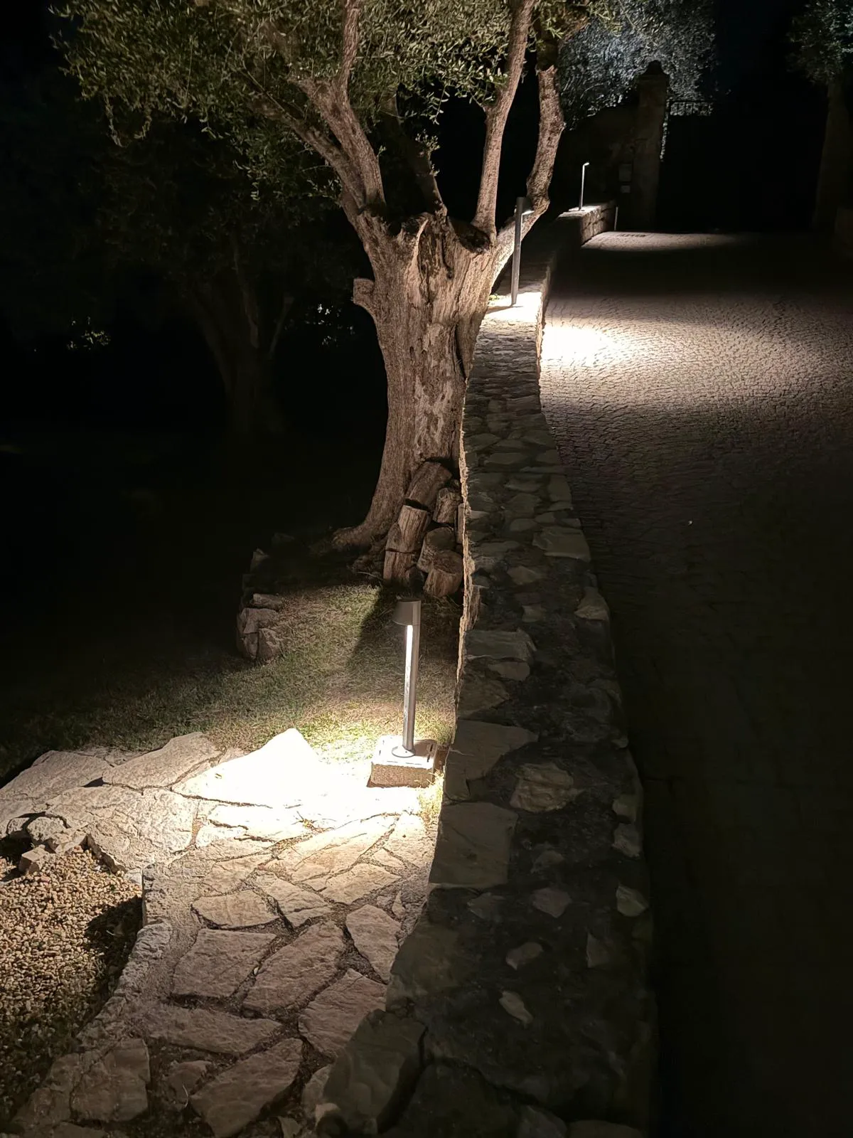 Chemin éclairé en pierre avec des lampadaires modernes au bord d'un jardin